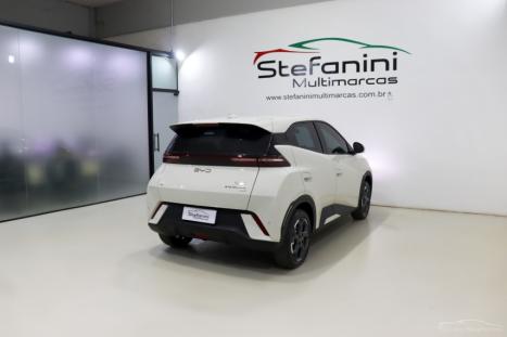 BYD Dolphin Mini 38 KW EL�TRICO GS, Foto 11