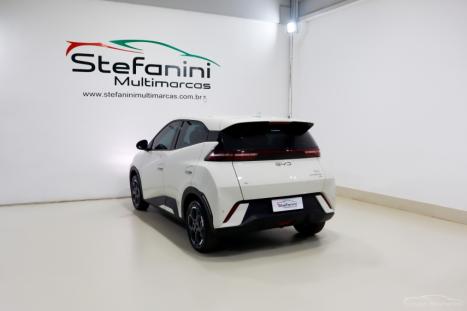 BYD Dolphin Mini 38 KW EL�TRICO GS, Foto 13