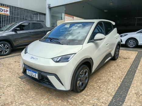 BYD Dolphin Mini 38 KW EL�TRICO GS, Foto 3