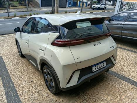 BYD Dolphin Mini 38 KW EL�TRICO GS, Foto 6