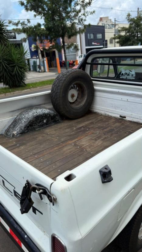 CHEVROLET D10 4.0 DIESEL CUSTOM S CABINE SIMPLES, Foto 7