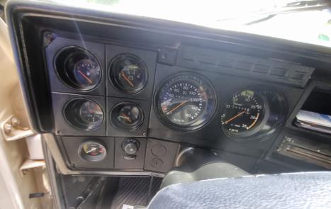 CHEVROLET D20 4.0 DIESEL CUSTOM DE LUXE CABINE DUPLA, Foto 13