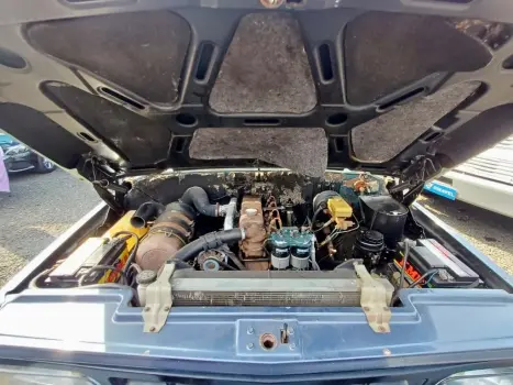 CHEVROLET D20 4.0 DIESEL ENVEMO CABINE DUPLA, Foto 12