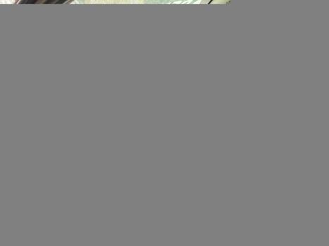 CITROEN C3 1.4 4P XTR FLEX, Foto 6