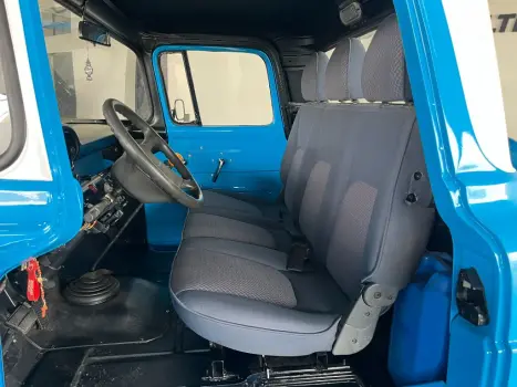 FORD F-100 4.5 V8 CABINE SIMPLES, Foto 10