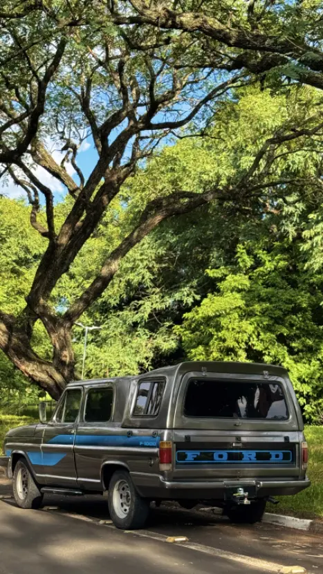 FORD F-1000 3.6 SUPER CABINE DUPLA DIESEL, Foto 6