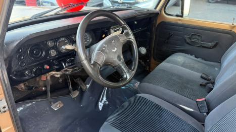 FORD F-1000 3.9 SUPER SERIE CABINE SIMPLES TURBO DIESEL, Foto 10