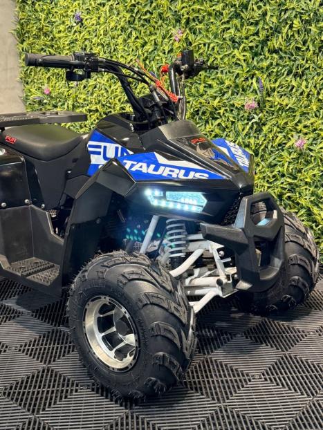 FUN MOTORS Taurus 110 , Foto 4