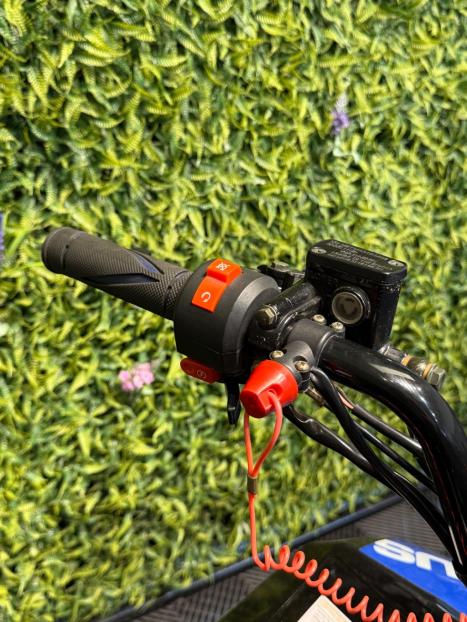 FUN MOTORS Taurus 110 , Foto 8