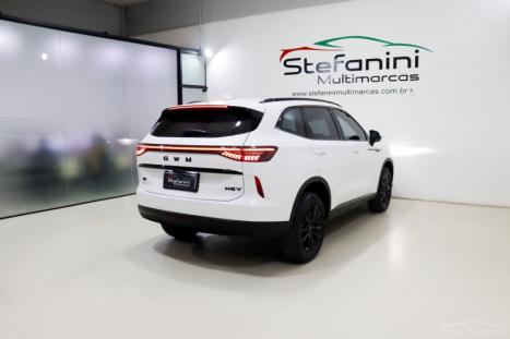 GWM Haval H6 1.5 16V 4P HEV2 PREMIUM AWD E-TRACTION AUTOM�TICO, Foto 12