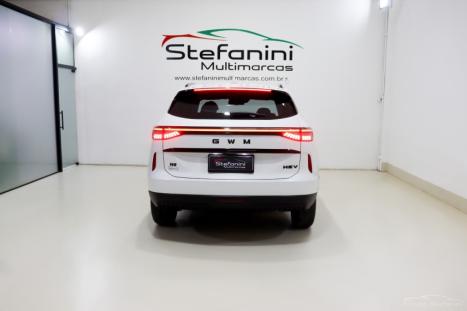 GWM Haval H6 1.5 16V 4P HEV2 PREMIUM AWD E-TRACTION AUTOM�TICO, Foto 13