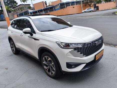 GWM Haval H6 1.5 16V 4P PHEV34 AWD E-TRATION AUTOMÁTICO, Foto 6