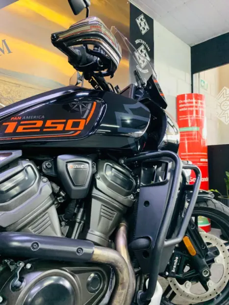 HARLEY DAVIDSON Pan America 1250 , Foto 8
