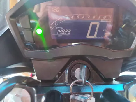 HONDA CB 250 F Twister FLEXONE, Foto 7