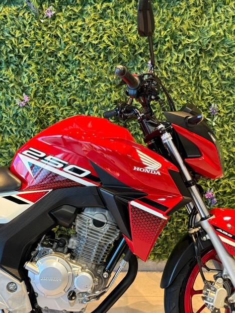 HONDA CB 250 F Twister FLEXONE, Foto 4