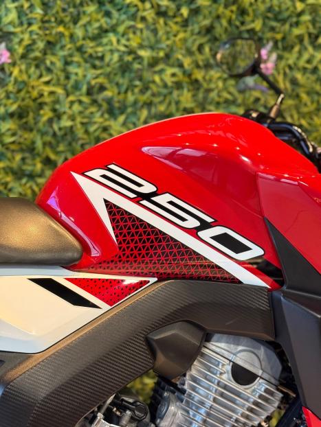 HONDA CB 250 F Twister FLEXONE, Foto 8