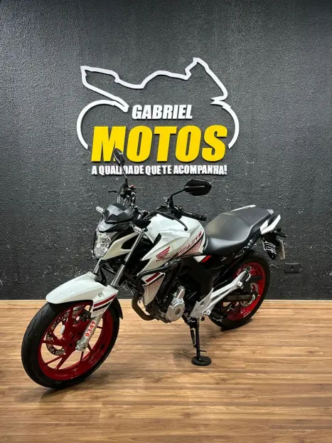 HONDA CB 250 F Twister FLEXONE, Foto 4