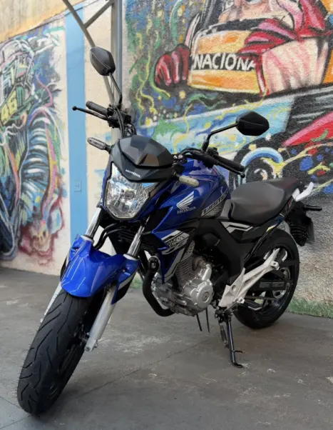 HONDA CB 250 F Twister FLEXONE, Foto 2