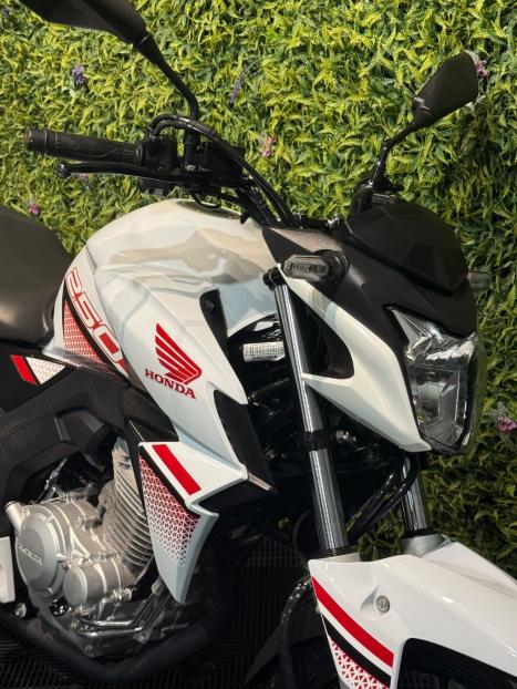 HONDA CB 250 F Twister FLEXONE, Foto 8