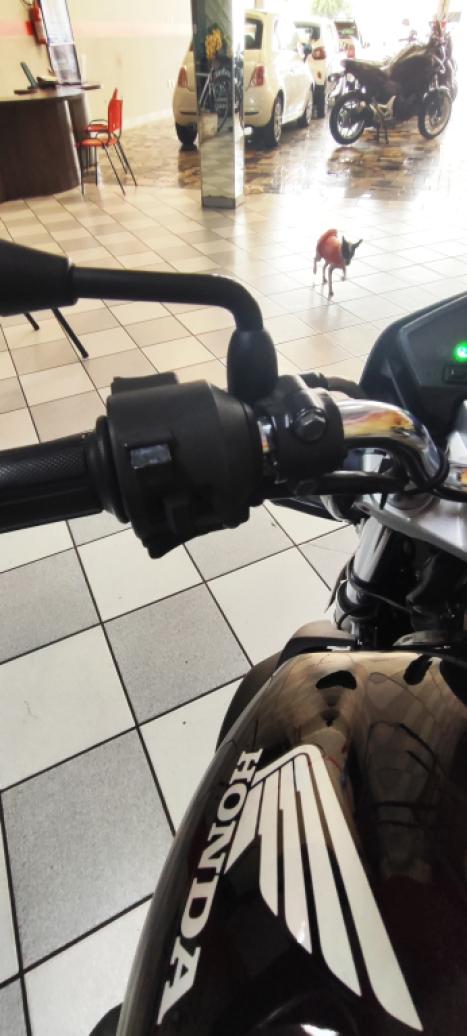 HONDA CB 300 R STD, Foto 9