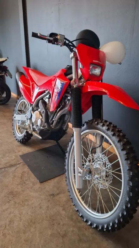 HONDA CRF 300 F, Foto 2