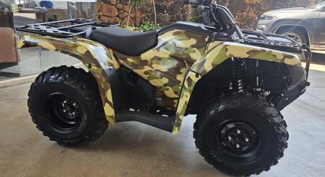 HONDA Four Trax 420, Foto 3