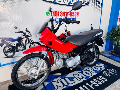 HONDA POP 100 , Foto 1