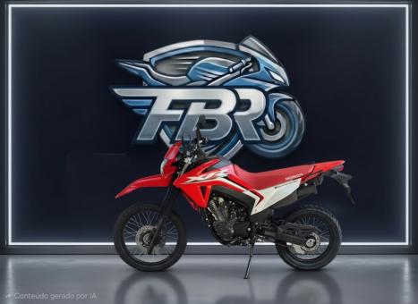 HONDA XR 300 L Tornado , Foto 2