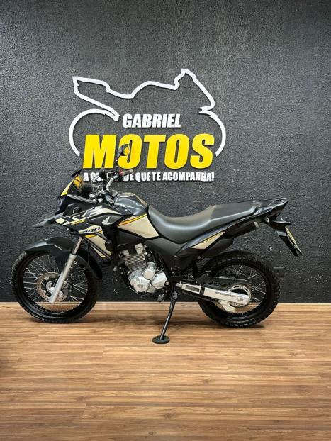 HONDA XRE 300 ADVENTURE, Foto 2