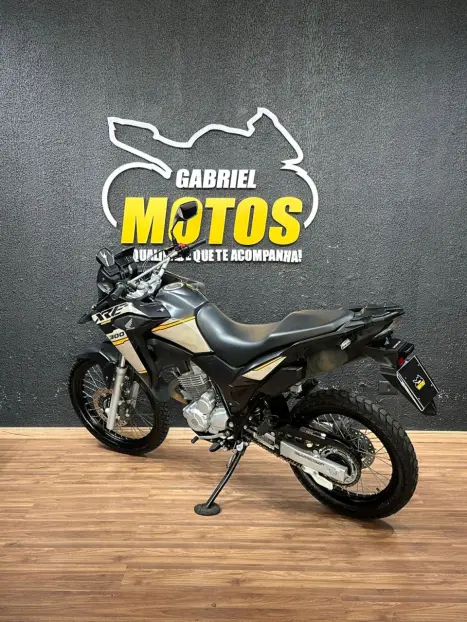 HONDA XRE 300 ADVENTURE, Foto 5