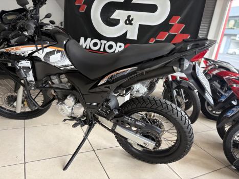 HONDA XRE 300 ADVENTURE, Foto 6