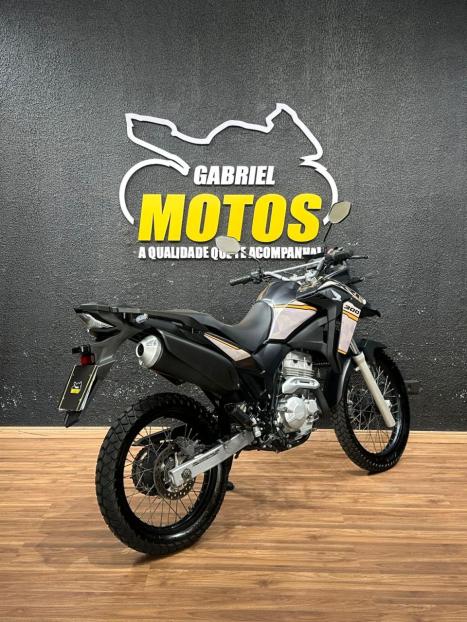 HONDA XRE 300 FLEX, Foto 5