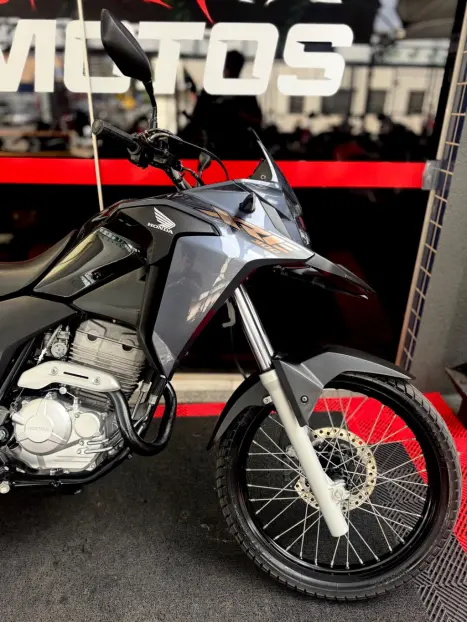 HONDA XRE 300 FLEX, Foto 3