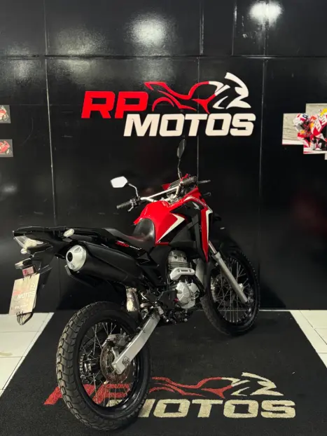 HONDA XRE 300 RALLY ABS, Foto 5