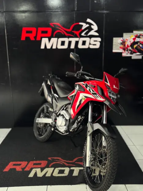 HONDA XRE 300 RALLY ABS, Foto 6