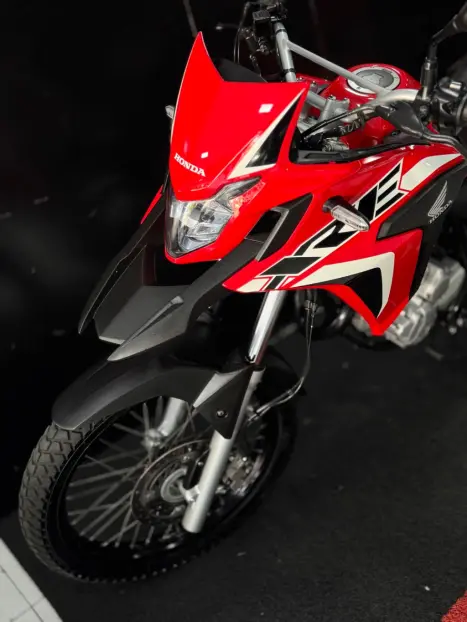 HONDA XRE 300 RALLY ABS, Foto 10