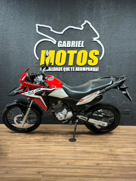 HONDA XRE 300 RALLY ABS, Foto 2