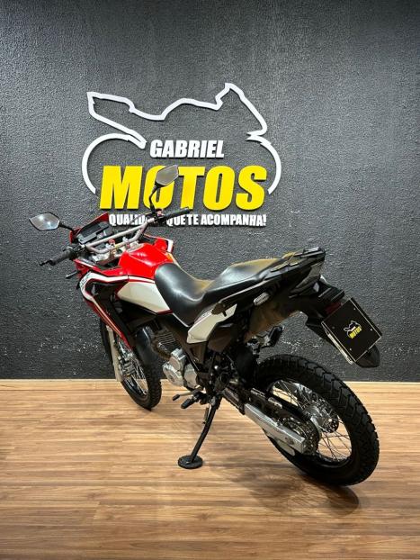 HONDA XRE 300 RALLY ABS, Foto 6