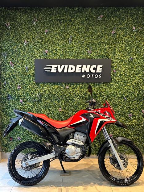 HONDA XRE 300 RALLY ABS, Foto 2