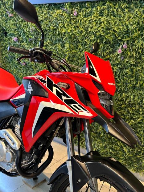 HONDA XRE 300 RALLY ABS, Foto 5