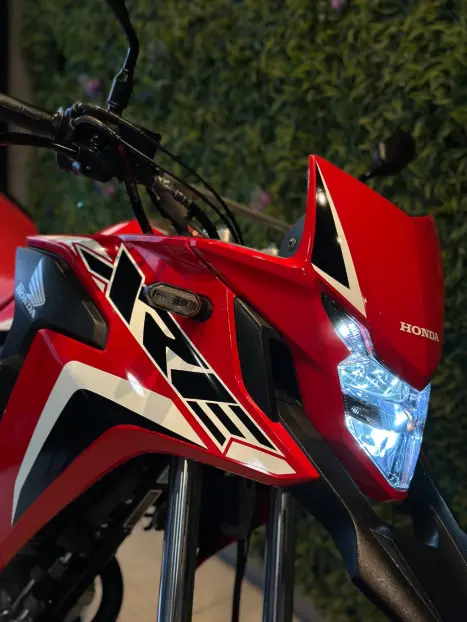 HONDA XRE 300 RALLY ABS, Foto 8