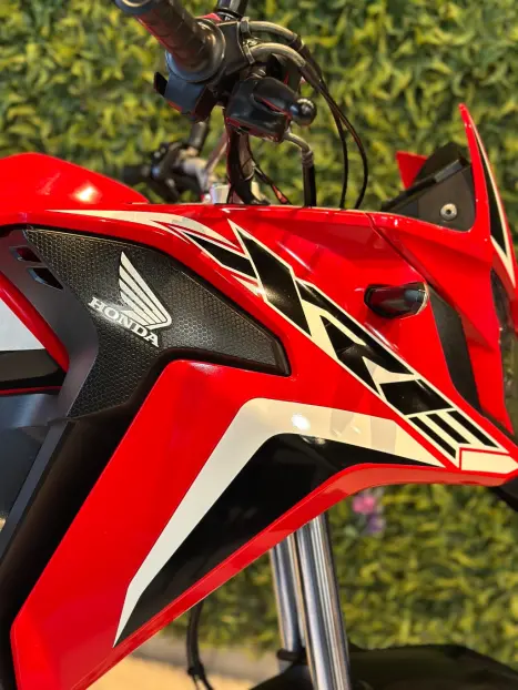 HONDA XRE 300 RALLY ABS, Foto 10