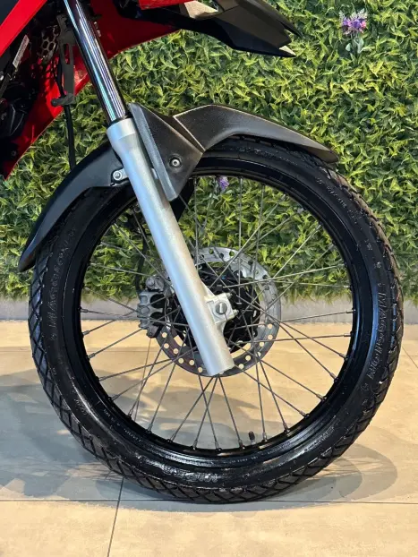 HONDA XRE 300 RALLY ABS, Foto 13