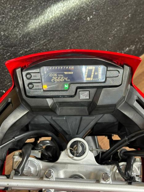 HONDA XRE 300 RALLY ABS, Foto 7