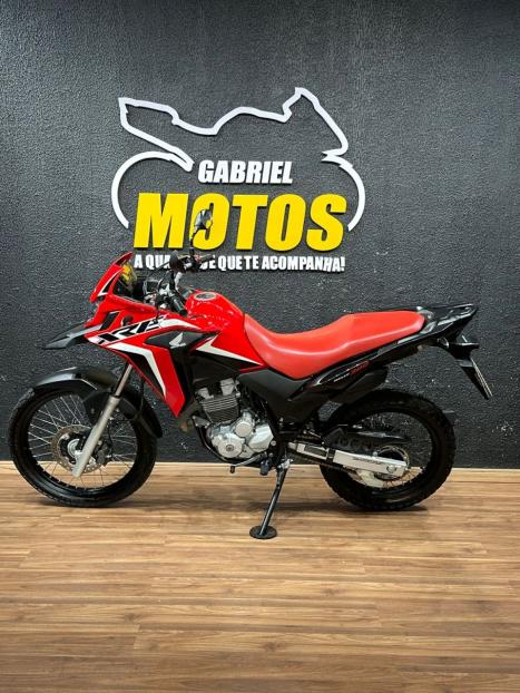 HONDA XRE 300 RALLY ABS, Foto 2