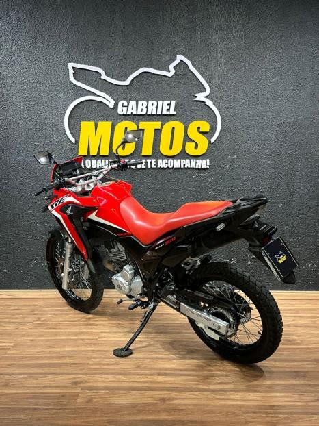 HONDA XRE 300 RALLY ABS, Foto 5