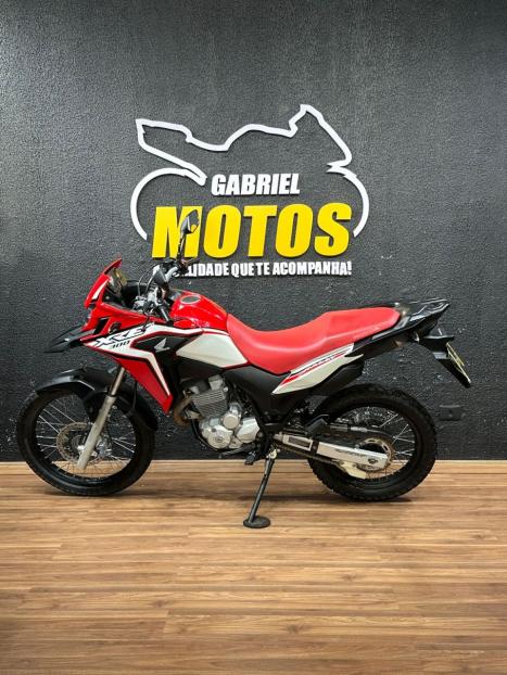 HONDA XRE 300 RALLY ABS, Foto 2