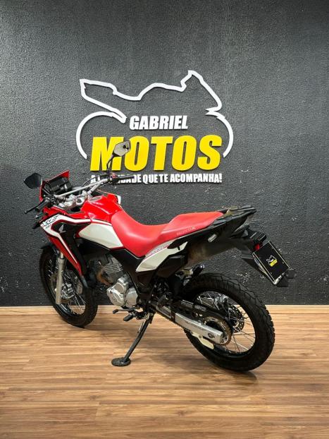 HONDA XRE 300 RALLY ABS, Foto 6