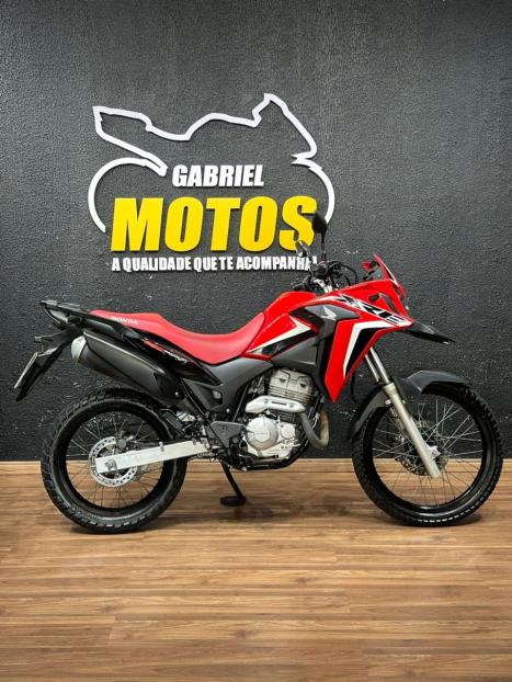 HONDA XRE 300 RALLY ABS, Foto 1