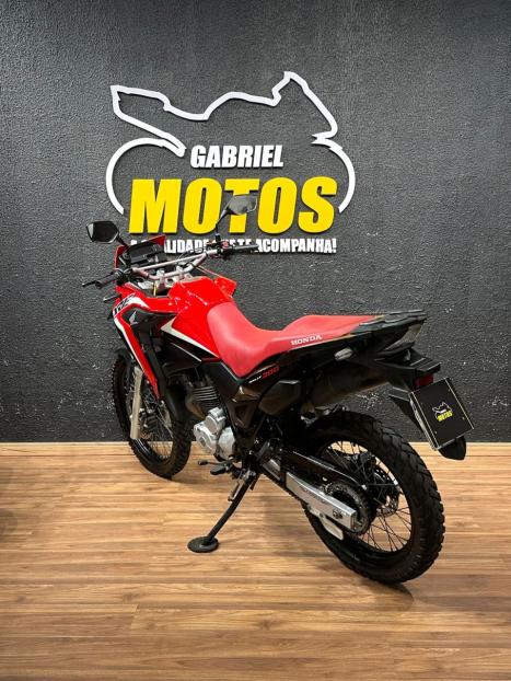 HONDA XRE 300 RALLY ABS, Foto 5